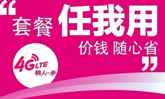 無限流量卡與數字文創 三大運營商誠意不足背后的服務缺口